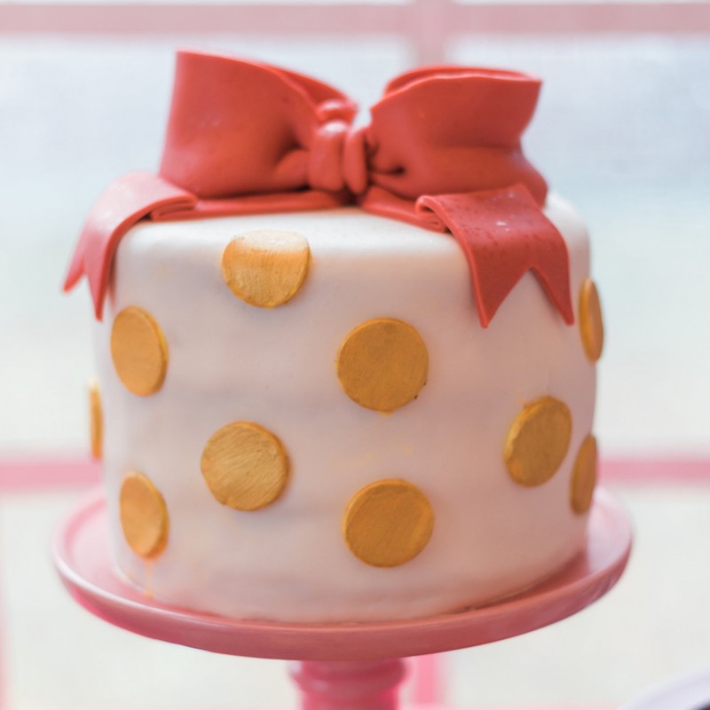 CHAYA’S BAT MITZVAH